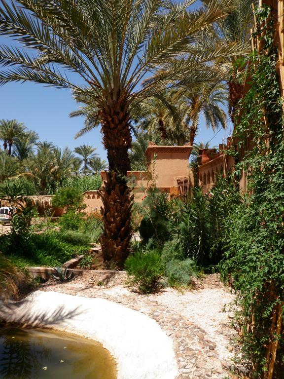 Ecolodge Bab El Oued Maroc Oasis Агдез Екстер'єр фото