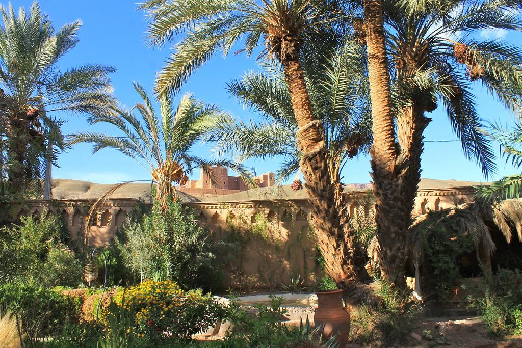 Ecolodge Bab El Oued Maroc Oasis Агдез Екстер'єр фото