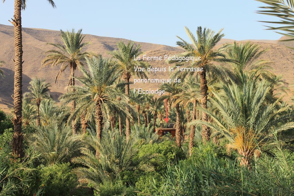Ecolodge Bab El Oued Maroc Oasis Агдез Екстер'єр фото