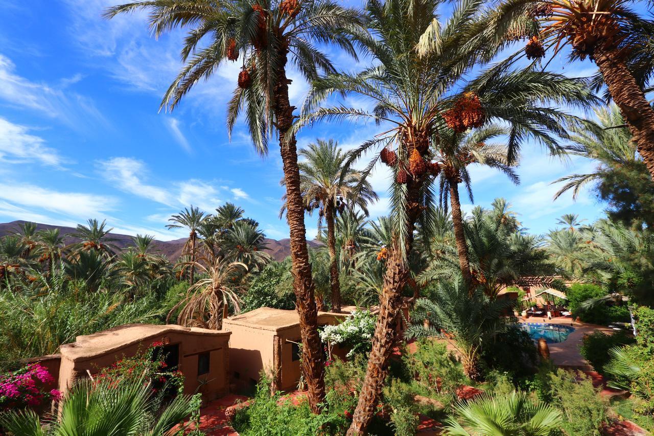 Ecolodge Bab El Oued Maroc Oasis Агдез Екстер'єр фото