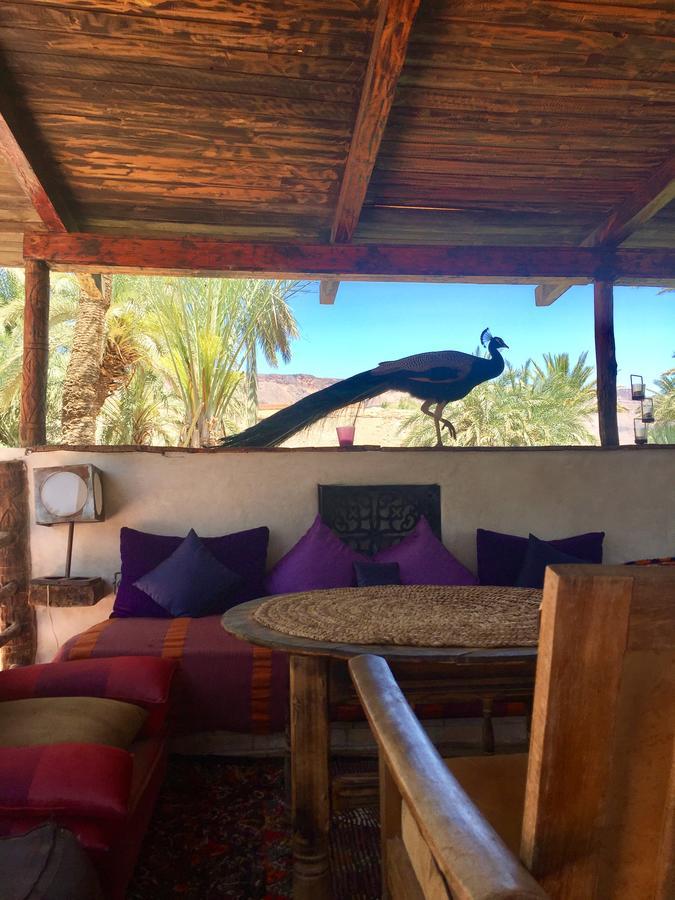 Ecolodge Bab El Oued Maroc Oasis Агдез Екстер'єр фото